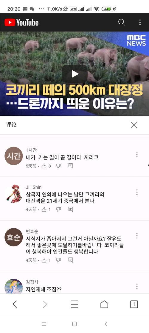 大象日韩视频在线观看,畅享亚洲影视盛宴 大象日韩视频在线观看,畅享亚洲影视盛宴