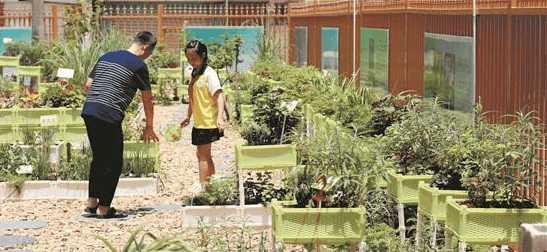 青草视频日韩社区 青草视频日韩社区